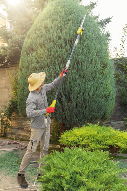 Leaf Removal in Wingate, NC